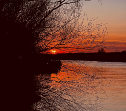 1 MAI 2026 – Minivacanță în Delta Dunării