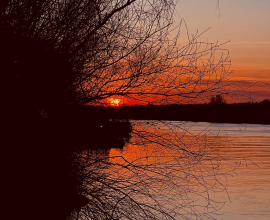 1 MAI 2026 – Minivacanță în Delta Dunării
